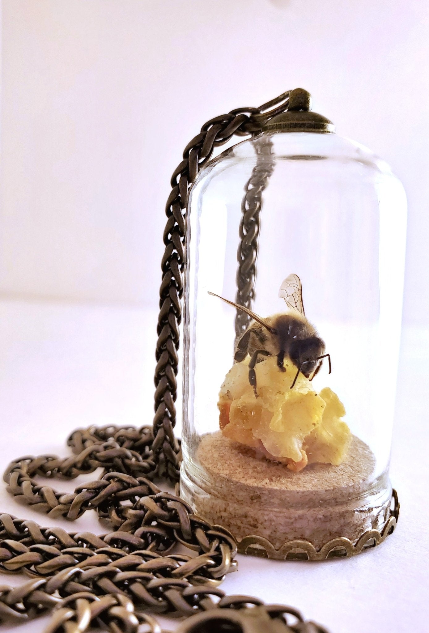 Honey Bee Necklace with HoneyComb - Pollen & Pine Oddities