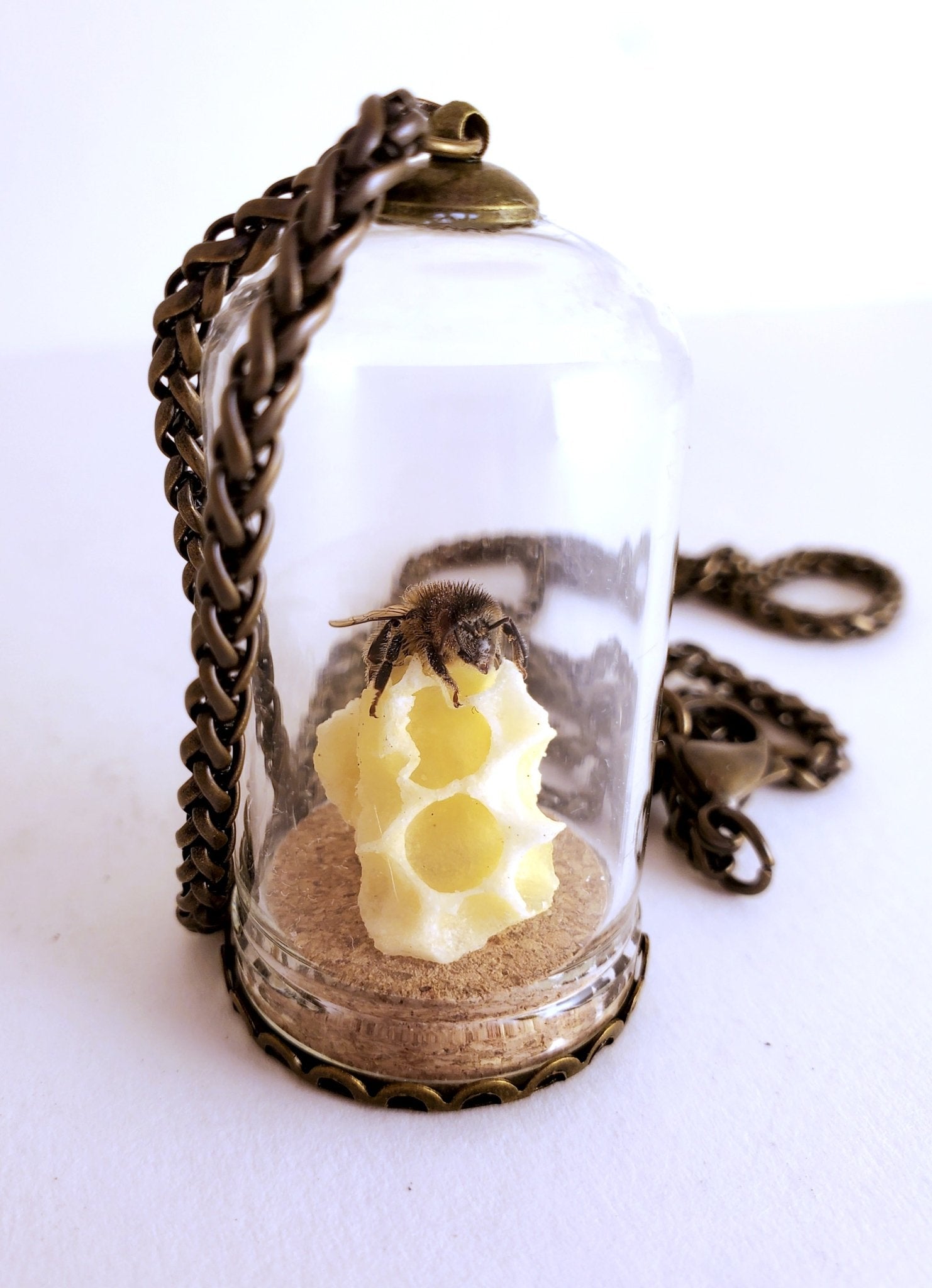 Honey Bee Necklace with HoneyComb - Pollen & Pine Oddities