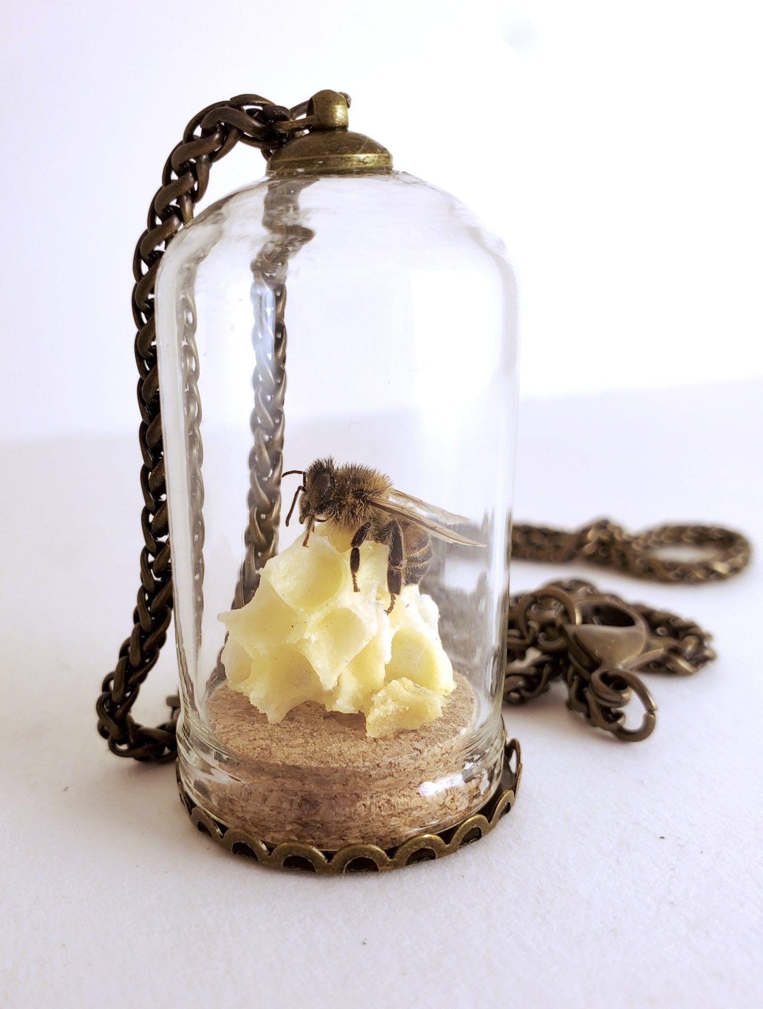 Honey Bee Necklace with HoneyComb - Pollen & Pine Oddities