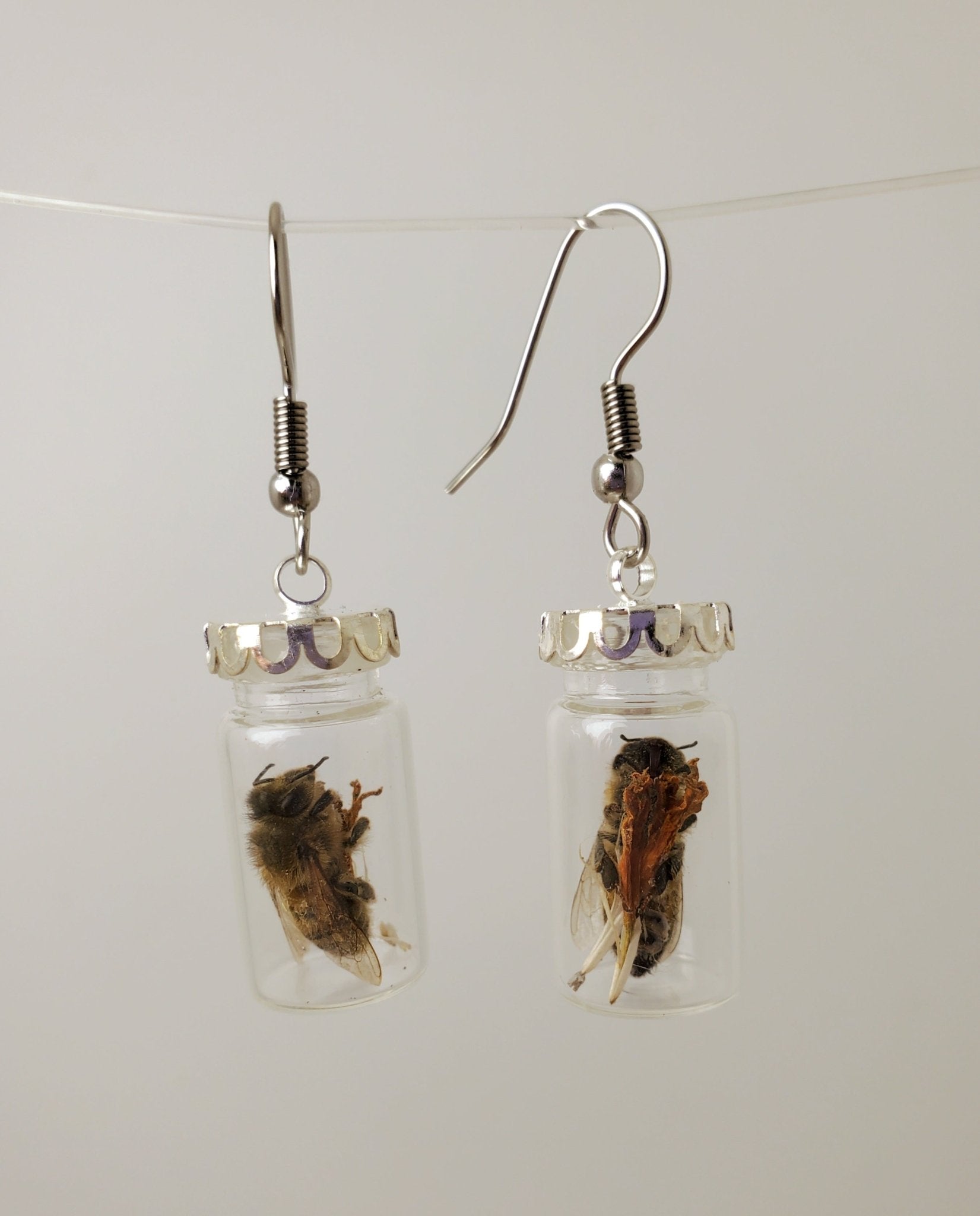 Honey Bee & Marigold Earrings - Pollen & Pine Oddities