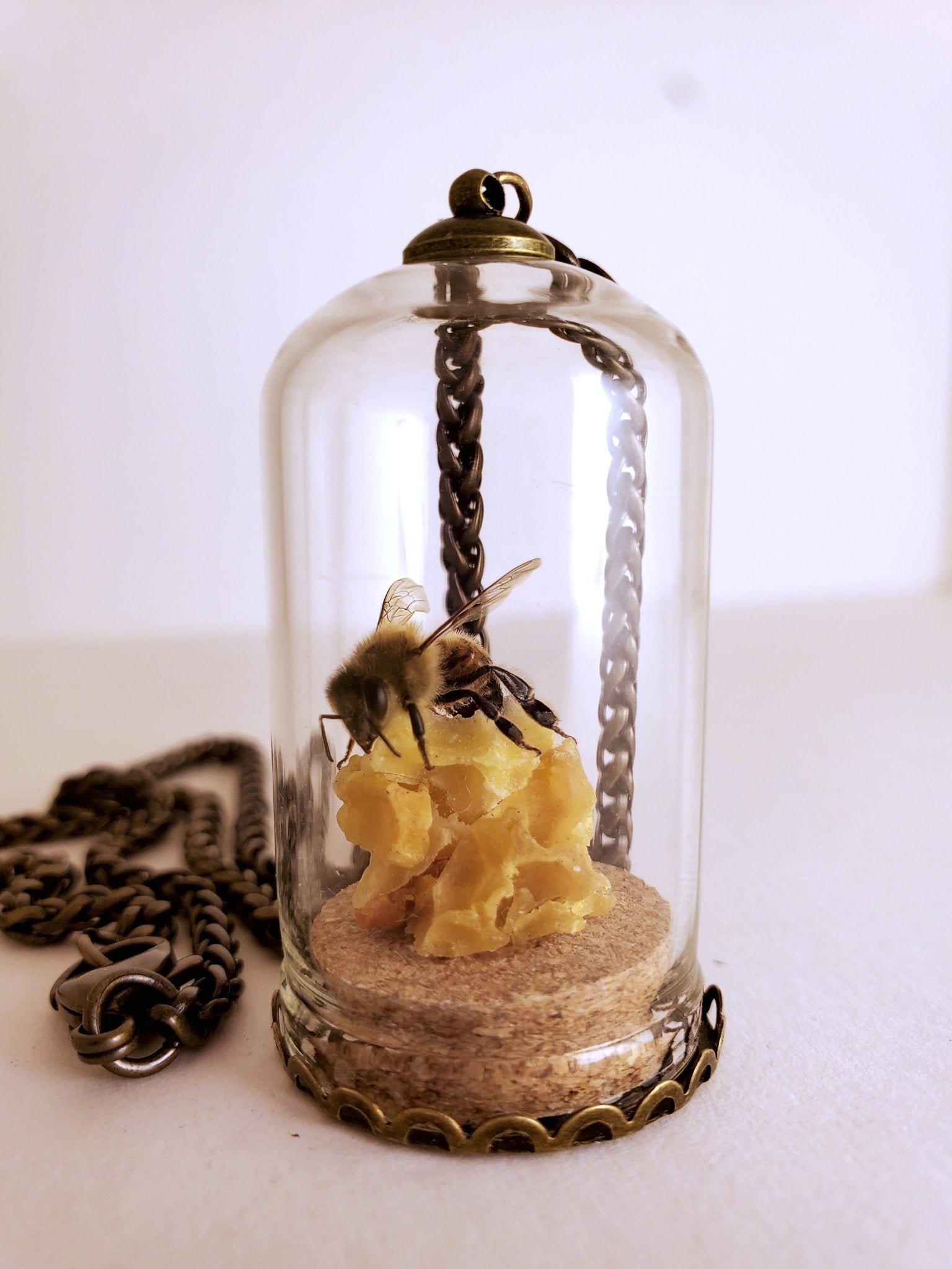 Honey Bee Necklace with HoneyComb - Pollen & Pine Oddities