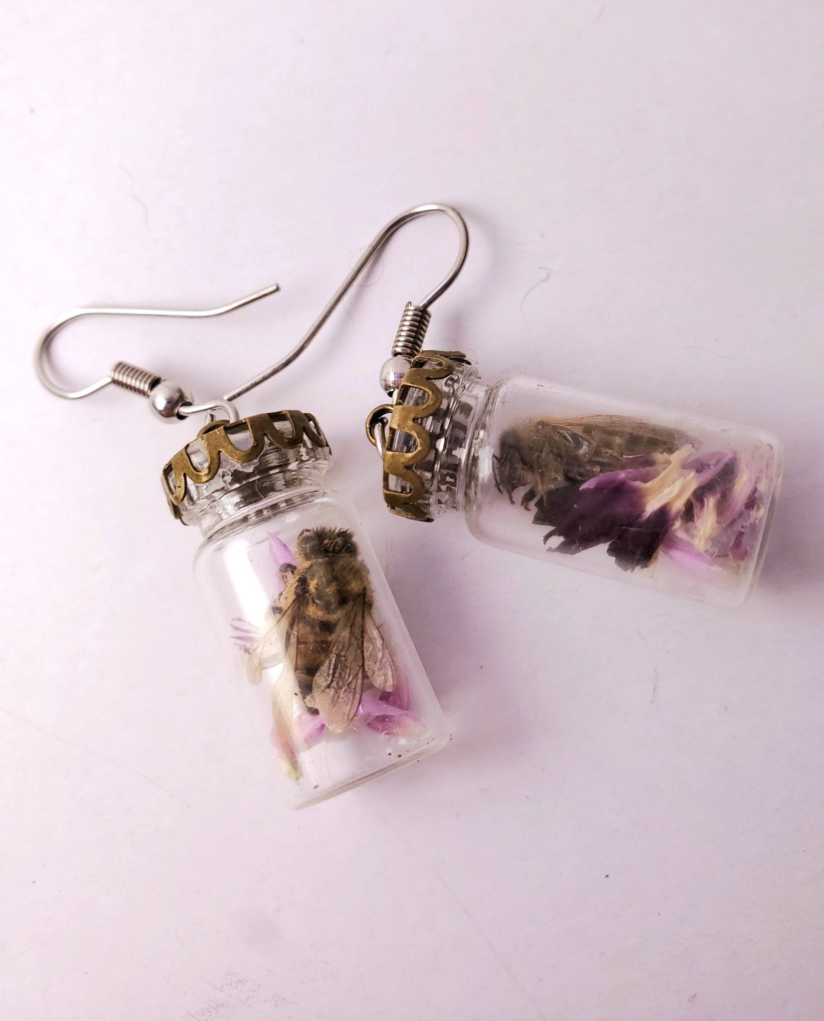 Honey Bee Earrings - Pollen & Pine Oddities