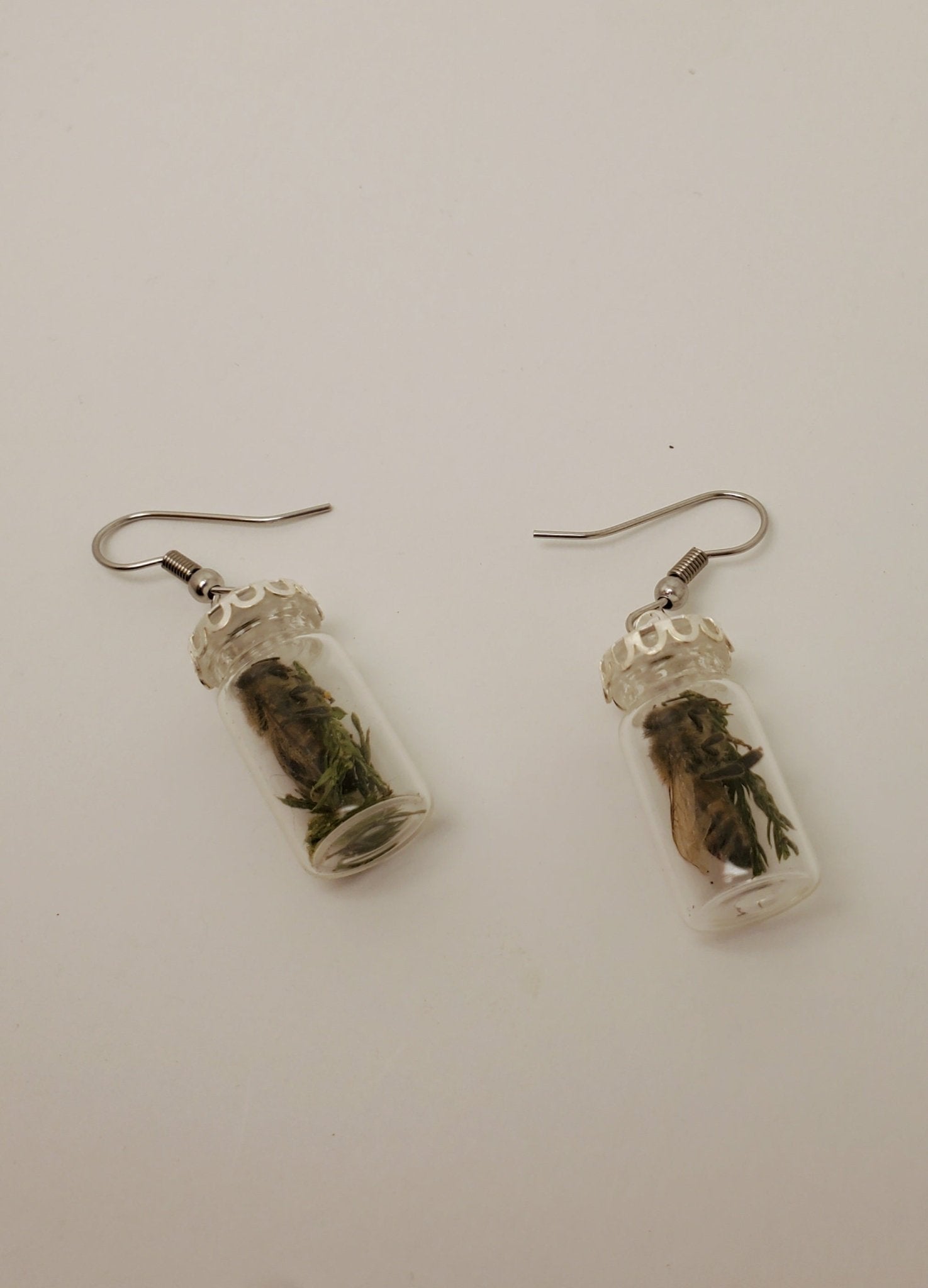 Honey Bee & Pine Earrings - Pollen & Pine Oddities