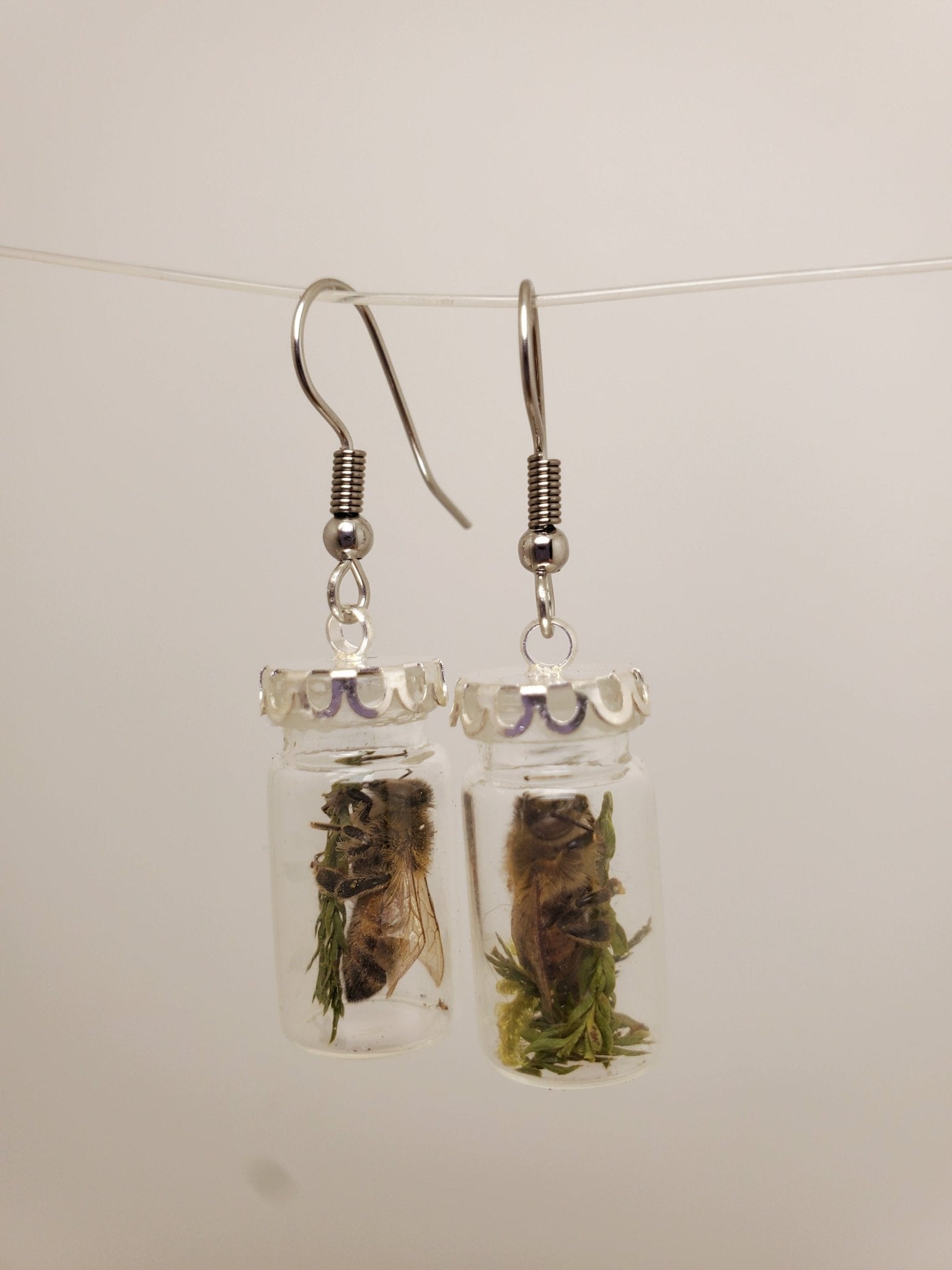 Honey Bee & Pine Earrings - Pollen & Pine Oddities